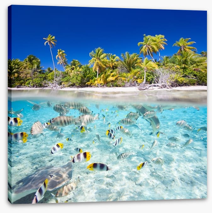 Tropical island paradise