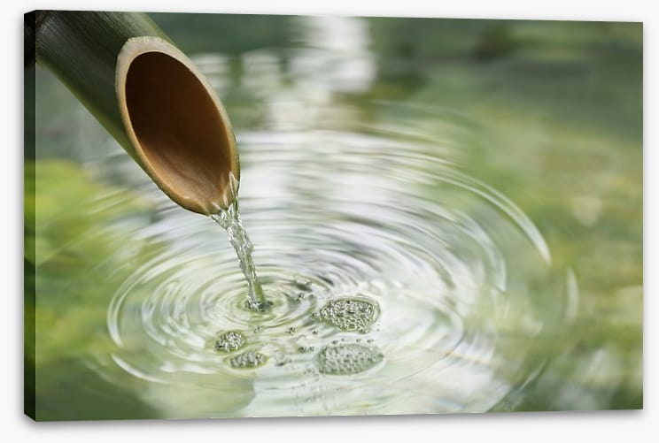 Bamboo fountain