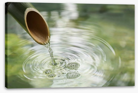 Bamboo fountain