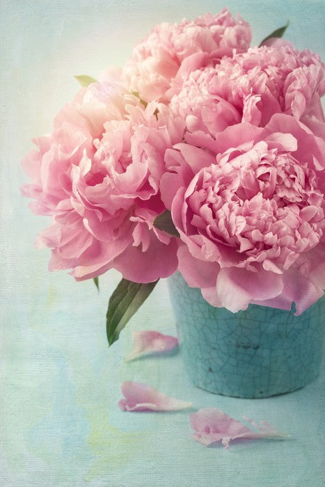 Vintage pink peony