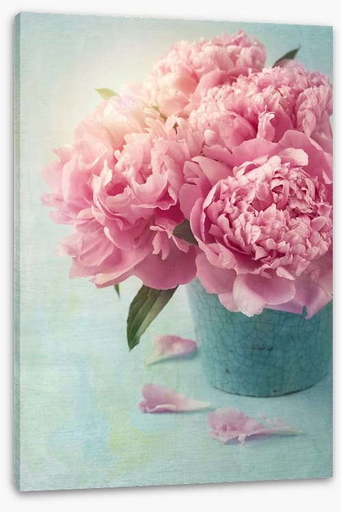 Vintage pink peony