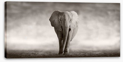 Mighty African elephant