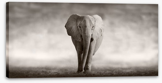 Mighty African elephant