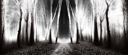 Forests