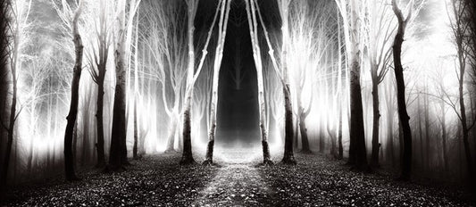 Forests