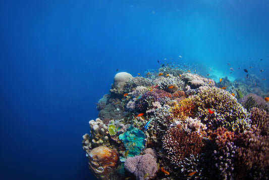 Underwater