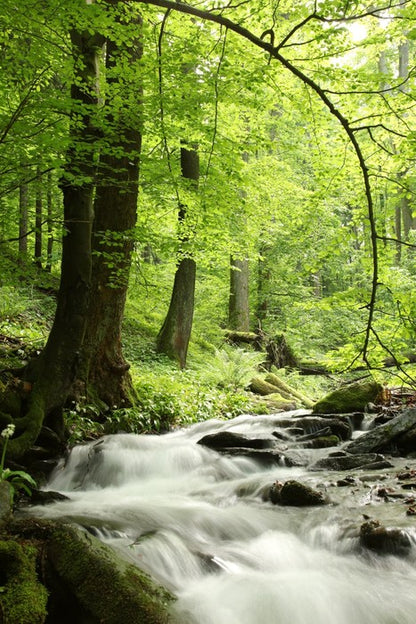 Spring cascades