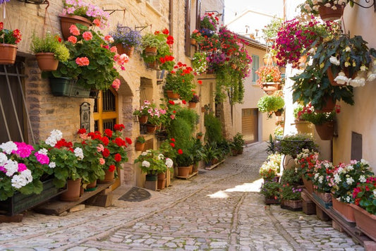 Italian alley with flowers