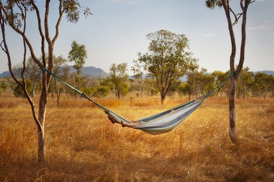 Hammock in the bush