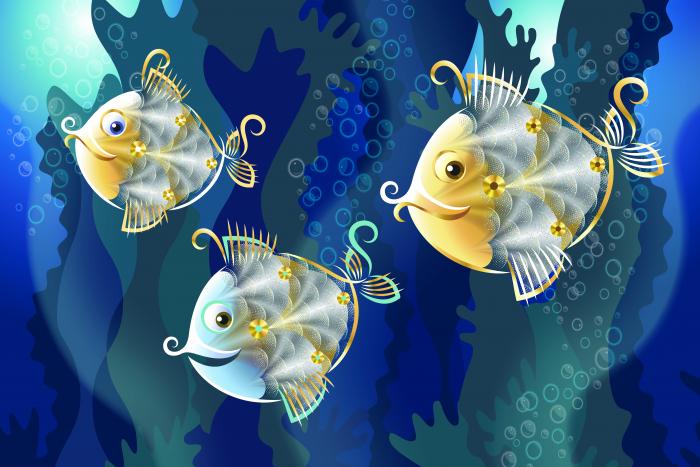 Funny fish