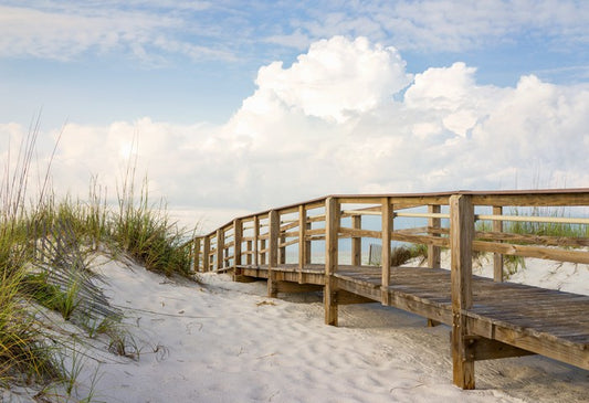 Across the sand dunes