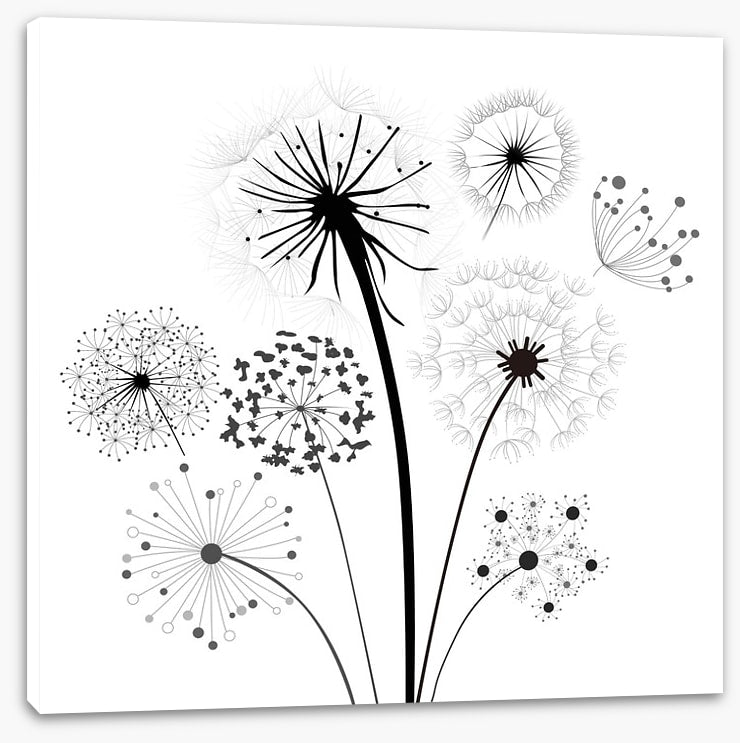 Dandelion whisper