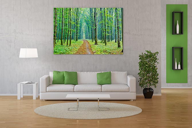 Vibrant spring in the forest