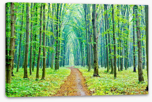 Vibrant spring in the forest