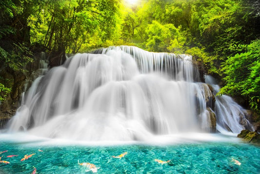 Tropical jungle waterfall