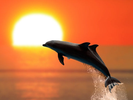 Synchronised at sunset