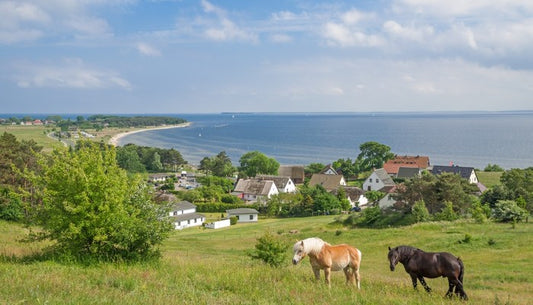 The village by the sea
