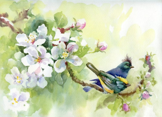 Birds of spring