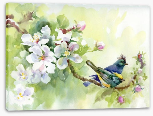 Birds of spring