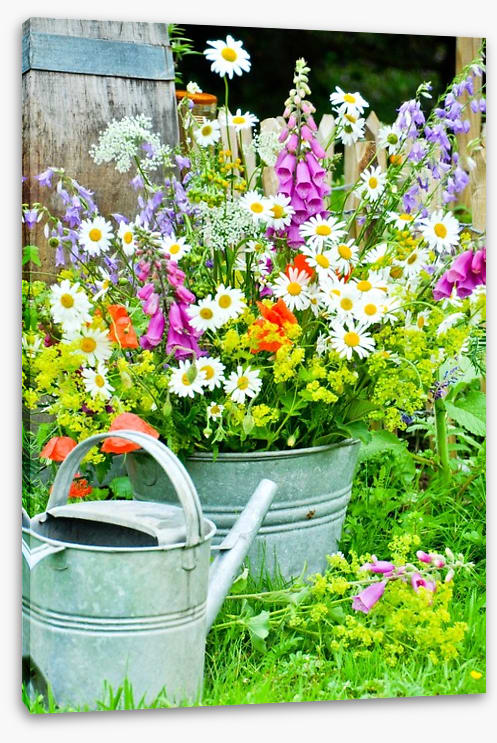Wildflower blooms