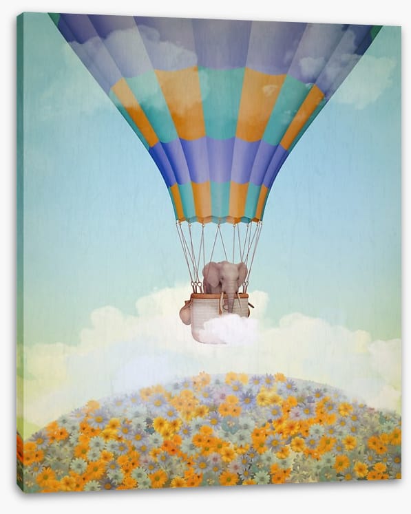Elephant in the balloon