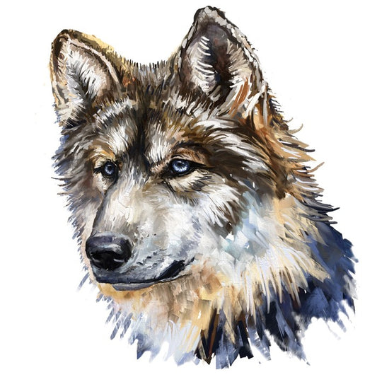 Wild wolf