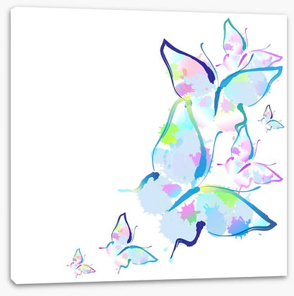 Butterfly splashes
