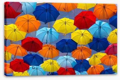 The festival of umbrellas