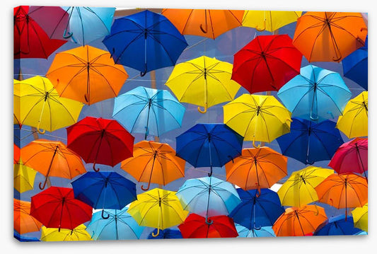 The festival of umbrellas
