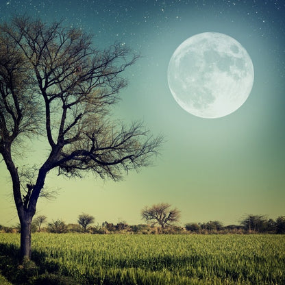 Moon glow