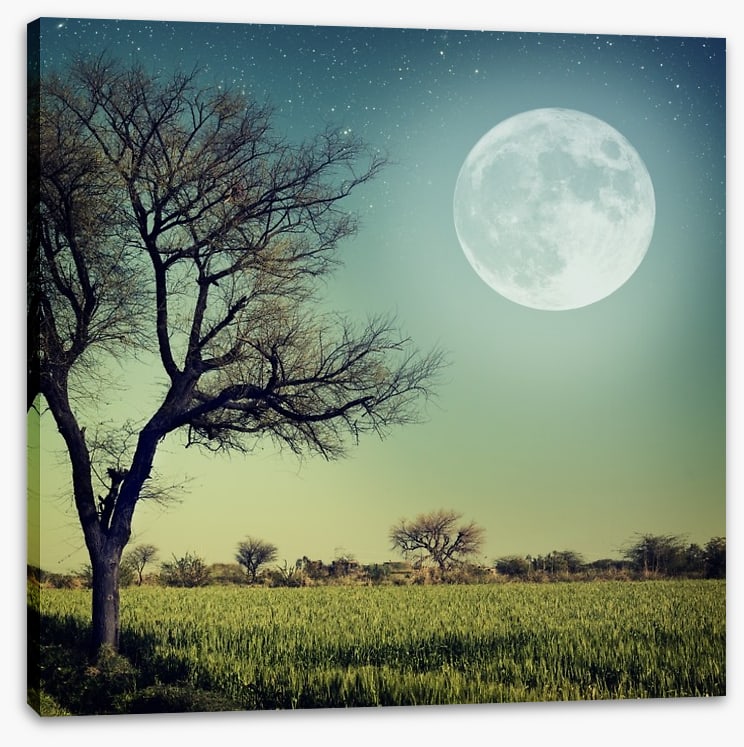 Moon glow