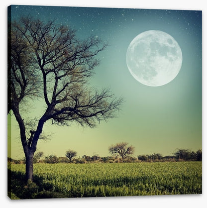 Moon glow