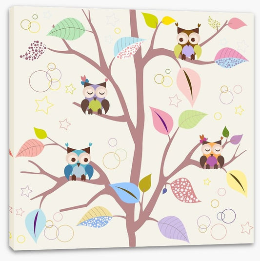 Baby owl tree
