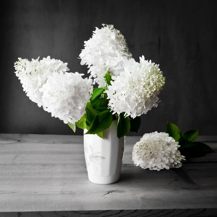 White hydrangea vase