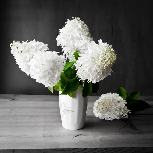 White hydrangea vase