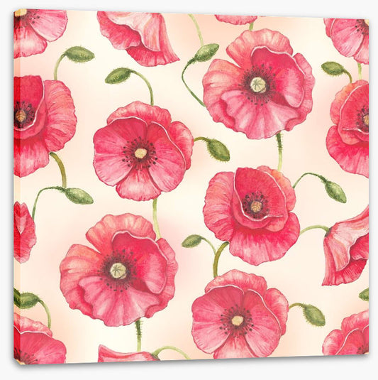 Poppy flowers