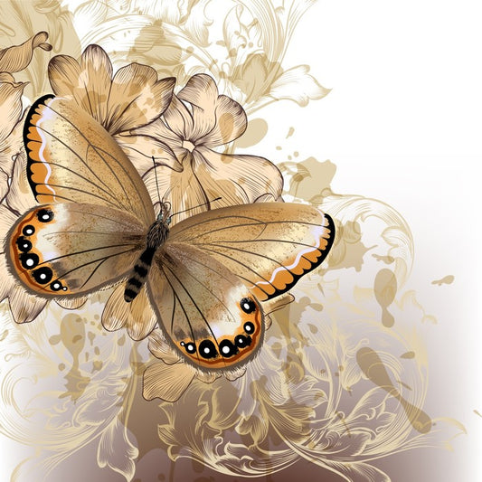 Butterfly beauty