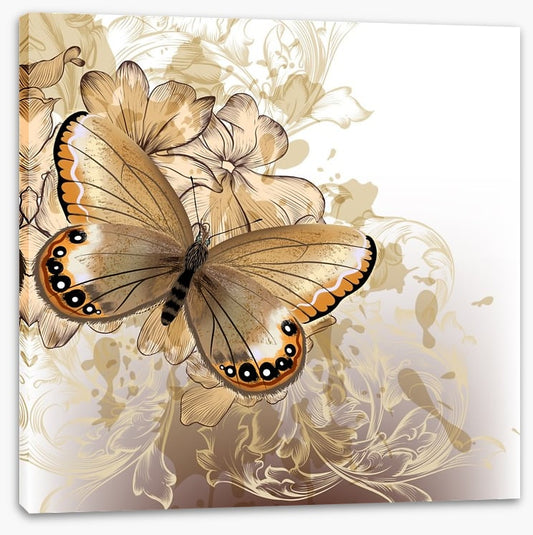 Butterfly beauty