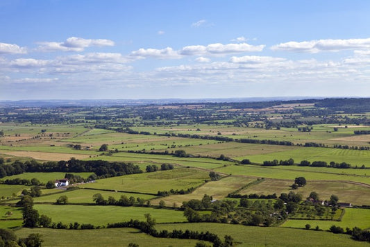 Green patchwork fields, England