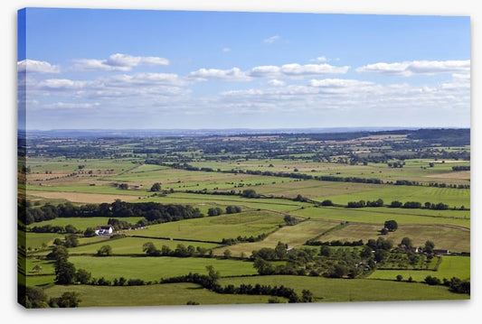 Green patchwork fields, England