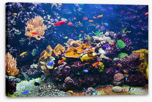 Underwater