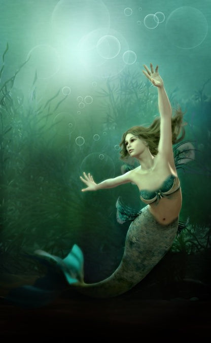 The little mermaid