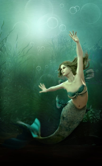 The little mermaid