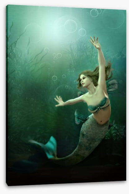 The little mermaid