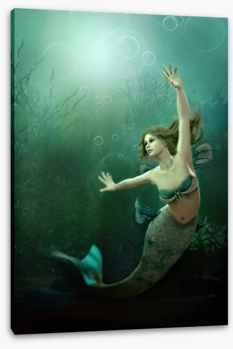 The little mermaid