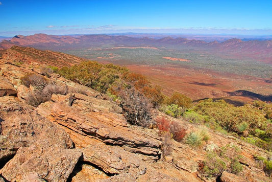 The Flinders Ranges