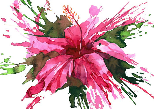 Hibiscus flower splash
