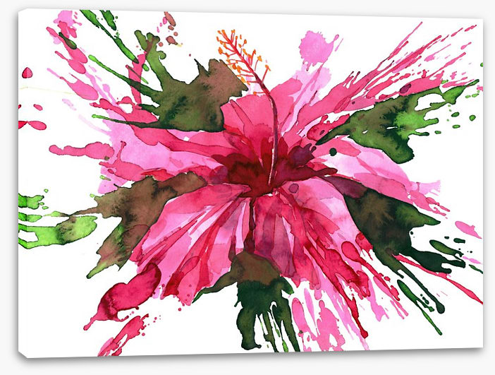 Hibiscus flower splash