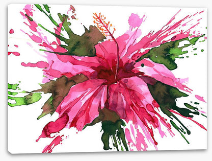 Hibiscus flower splash