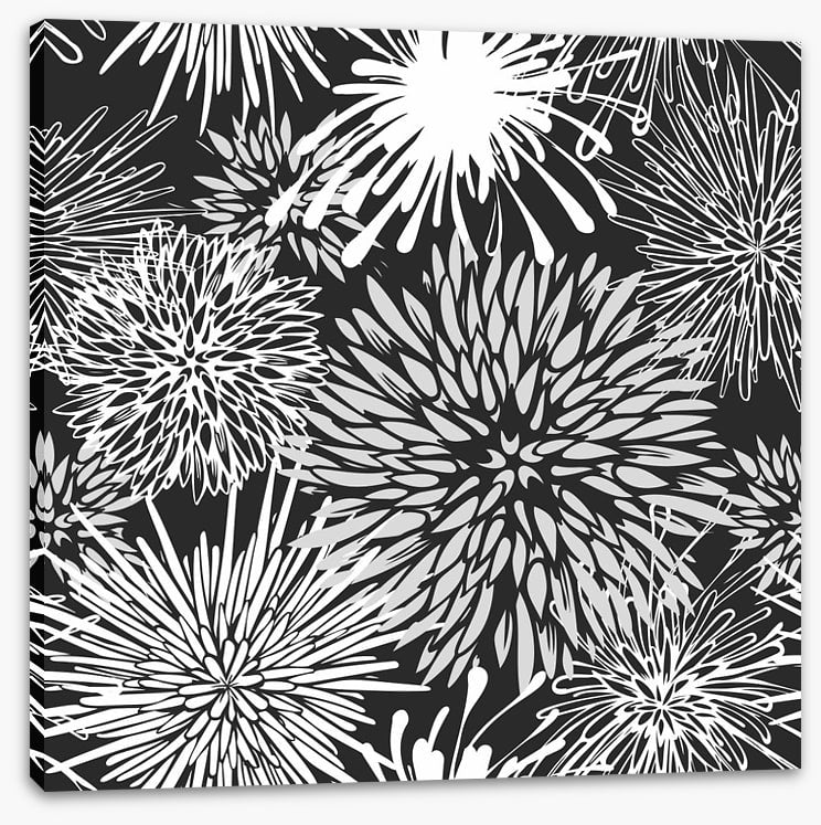 Chrysanthemum burst
